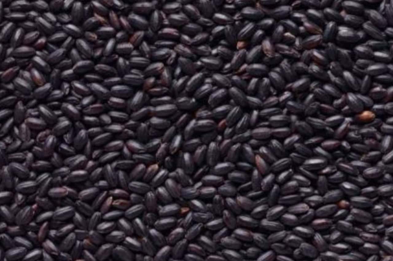 BlackRice_1280x850