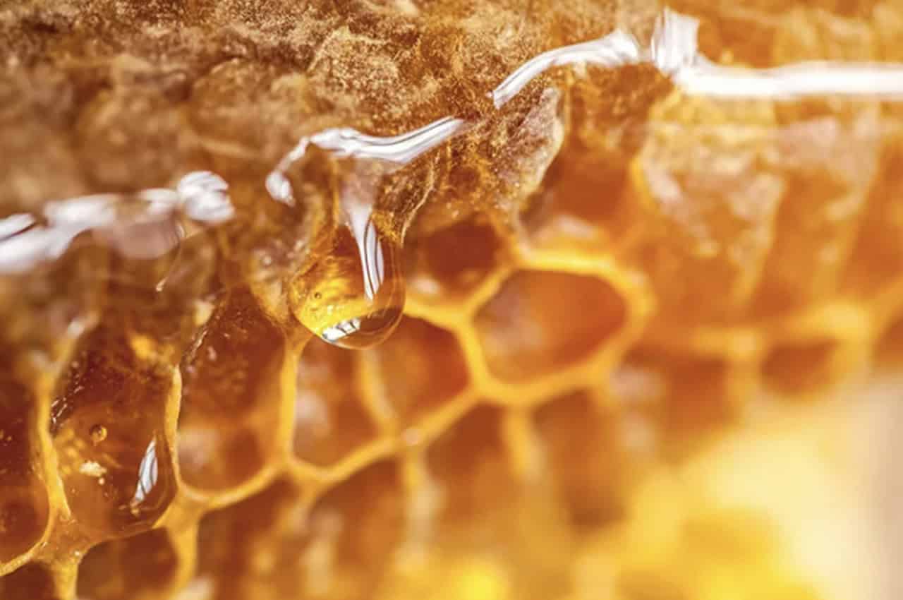Honey_1280x850