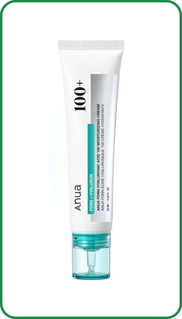 Anua PDRN Hyaluronic Acid 100 Moisturizing Cream