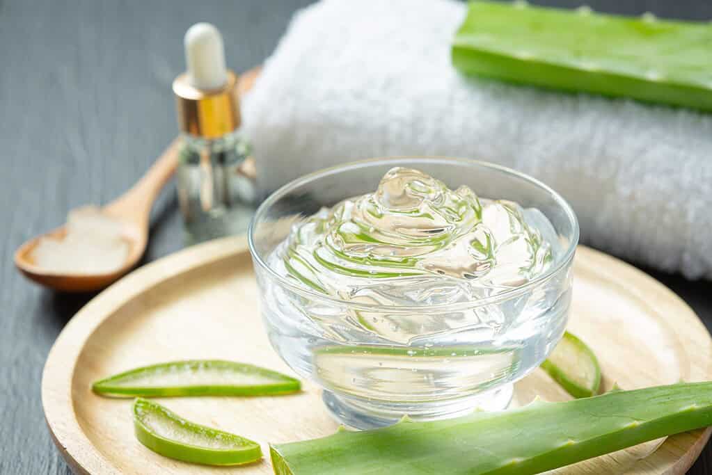 aloe vera cosmetic cream dark surface